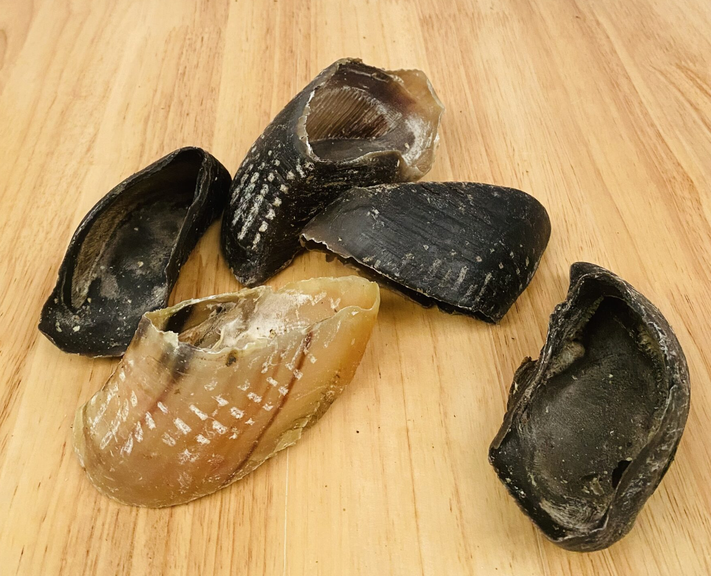 Cow Hooves