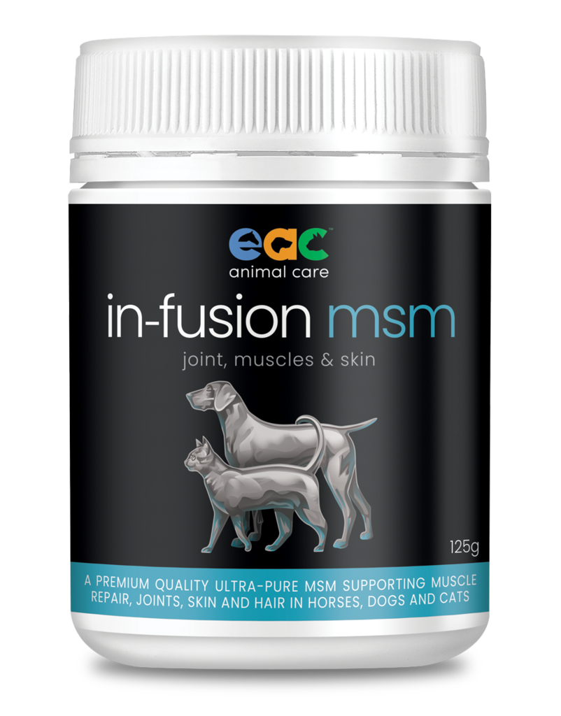 In-Fusion MSM
