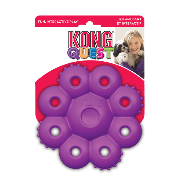 Kong Quest