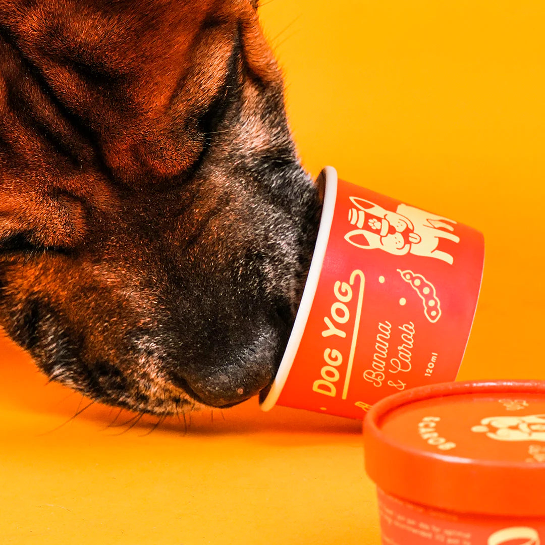 Dog Yog