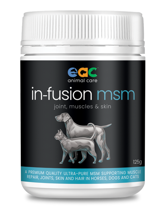 In-Fusion MSM